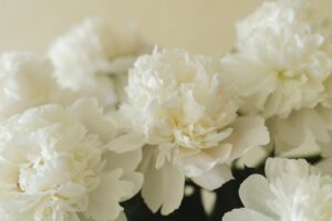 동두천 예드림장례식장에서 파주추모공원까지 가족중심 무빈소 장례후기