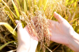 경기도의료원 파주병원장례식장에서 정성스럽게 치른 무빈소 장례후기