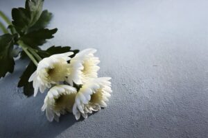 원자력병원장례식장에서의 마지막 인사와 파주추모공원 안치까지 3일간의 기록