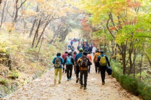 한일병원장례식장에서 효원가족공원까지 조용히 보내드린 식당 사장님의 무빈소 장례 후기