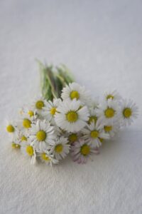 중앙대학교병원장례식장에서 분당 봉안당홈까지 3일간의 동행 후기