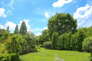 평택 제일장례식장 장례비용 후기 평생 농사 지으신 아버지의 마지막 길