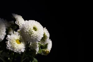 용인시민장례문화원에서 진행된 가족 중심 무빈소 장례 후기