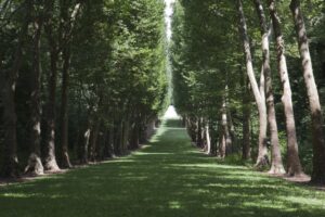 용인평온의숲 장례식장 장례비용 후기 더추모상조와 함께한 정찰제 장례 이야기