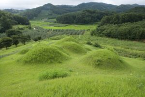 2025년 파묘 후 화장·평장 묘지이장 비용과 절차 완전정리