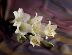 노원을지대학교병원장례식장에서 치른 존경과 사랑이 가득하였던 장례후기