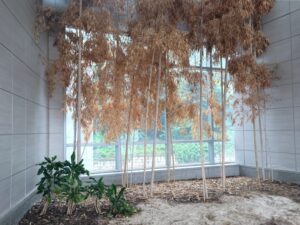 선불제 상조가 수백만원 더 비싼 진짜 이유 5가지