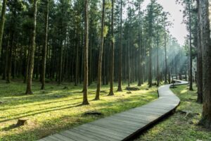 강서개화장례식장에서 봉안당홈까지 품격있는 마지막 이별 후기