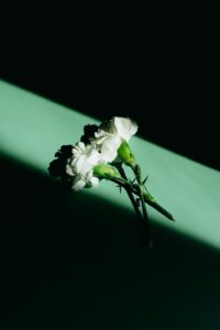 장례식 이후 추가 비용 폭탄? 꼭 알아야 할 장례 후 추가 구매 함정 주의사항