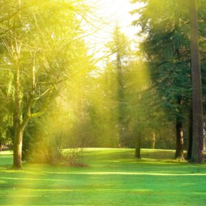 2026년부터 확산되고 있는 가족장과 무빈소가족장 의미와 차이점 알아보기