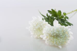 무빈소 장례를 후회 없이 치르기 위해서는 전문적이고 따뜻한 상조회사를 만나야 합니다