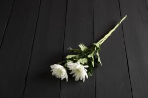 2026년 무빈소 장례, 가장 먼저 챙겨야 할 핵심 준비사항 완벽 가이드