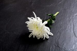 인천 쉴낙원 장례식장에서 조용하게 떠나보낸 아버지 무빈소 장례 후기