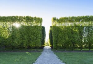 무빈소상조의 지역별 무빈소장례식장 네트워크의 역할 수행을 위한 5개 지역별 지사 사이트 오픈