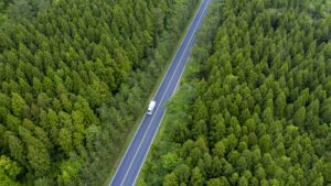 2026년 무빈소 장례 절차와 일반 장례 대비 차이점 그리고 유의사항